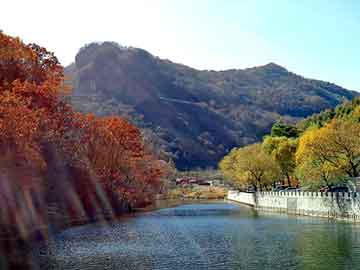 新澳天天开奖资料大全旅游团，零度可乐致癌